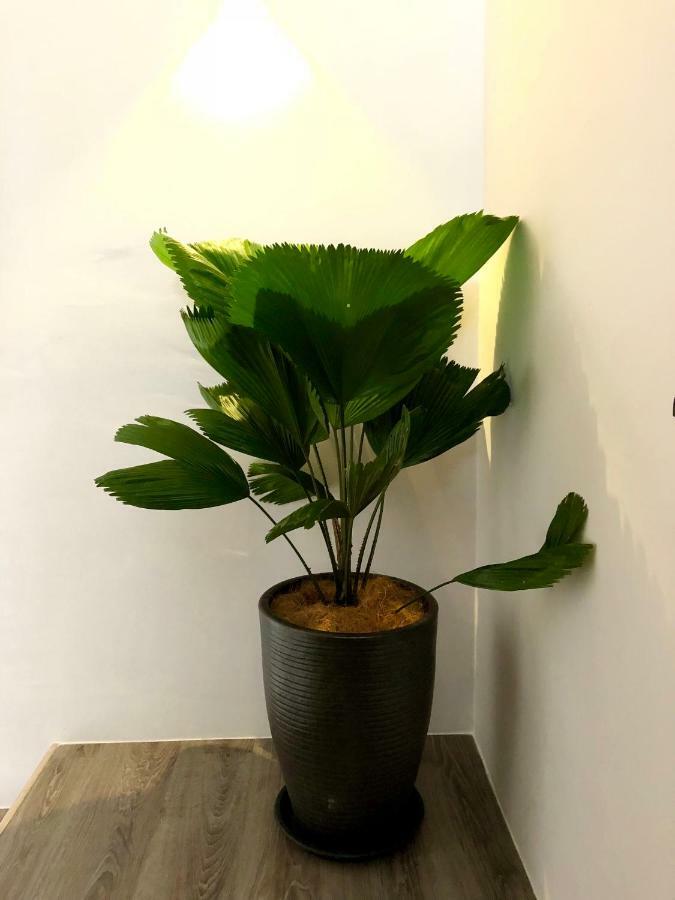 Minimalist Duplex @ Petaling Jaya & Sunway Lejlighed Eksteriør billede